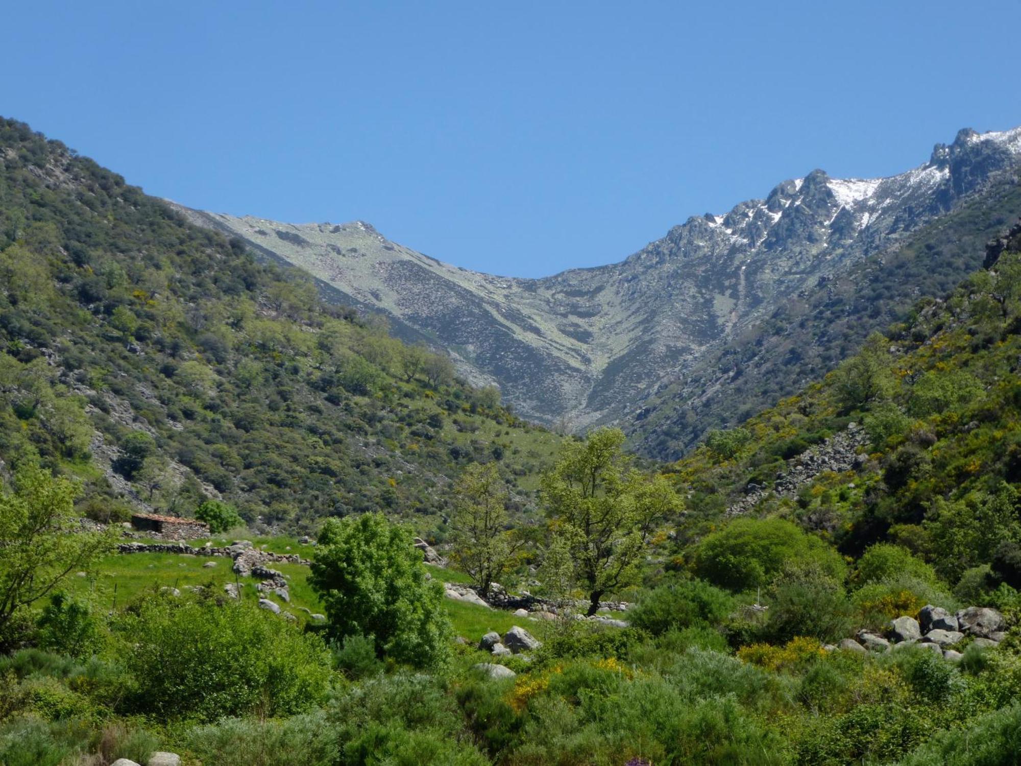 Apartamentos Rurales Entre Fuentes Cuacos De Yuste Buitenkant foto