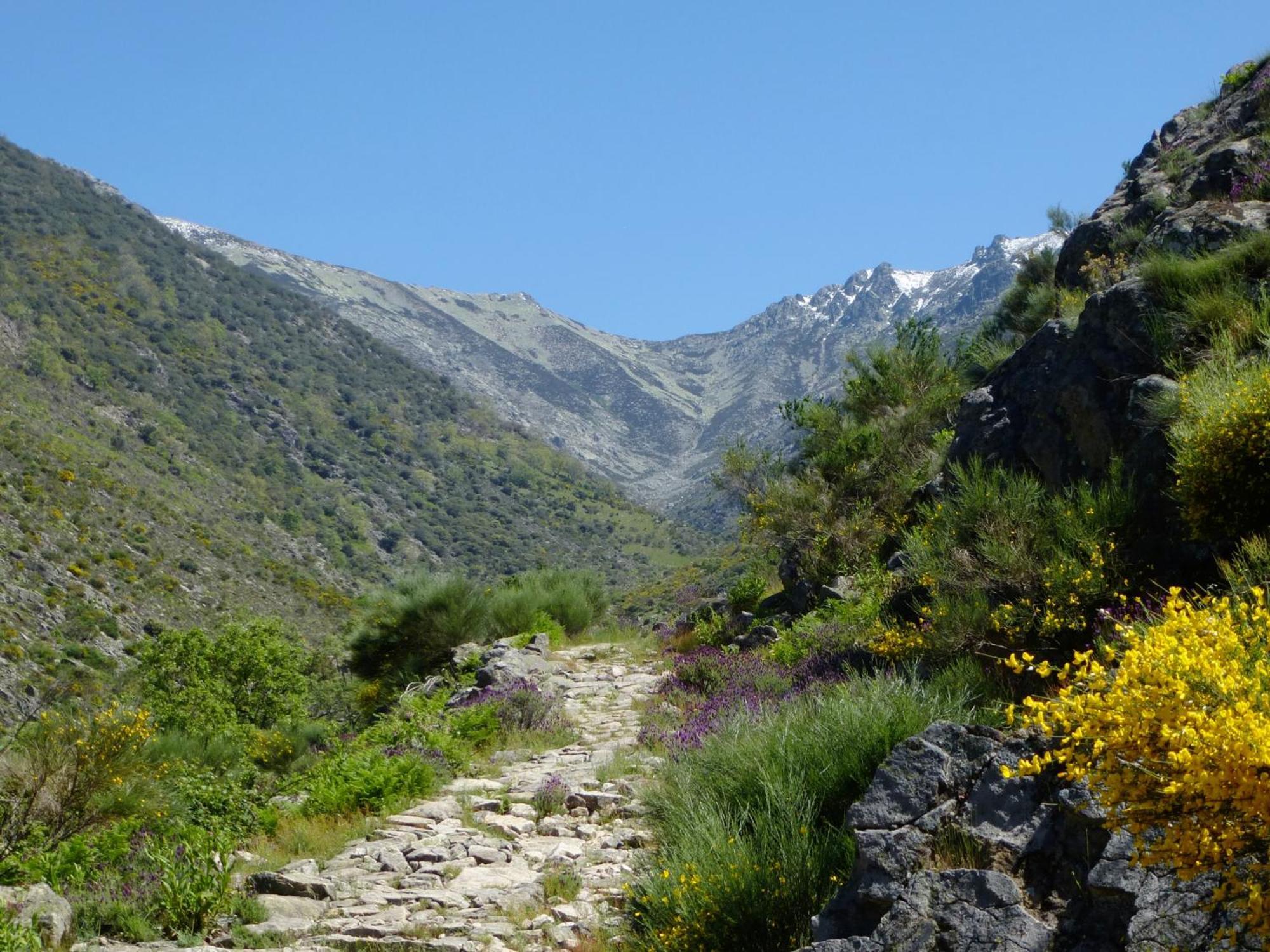 Apartamentos Rurales Entre Fuentes Cuacos De Yuste Buitenkant foto