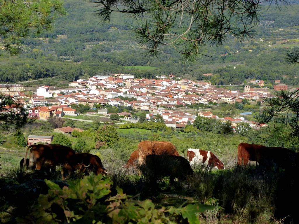 Apartamentos Rurales Entre Fuentes Cuacos De Yuste Buitenkant foto